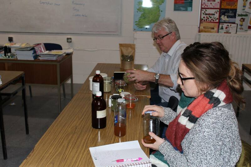 Getting to grips with the basics of Herbal Medicine