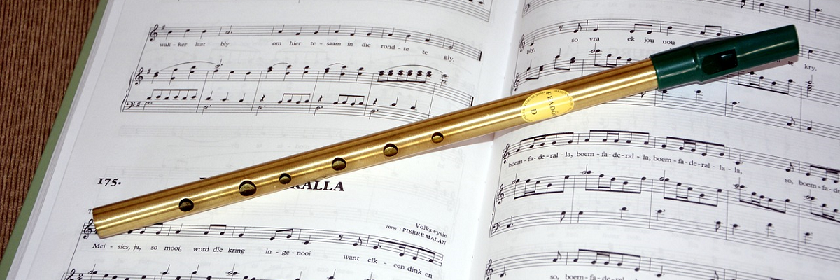 Tin Whistle evening classes for adults