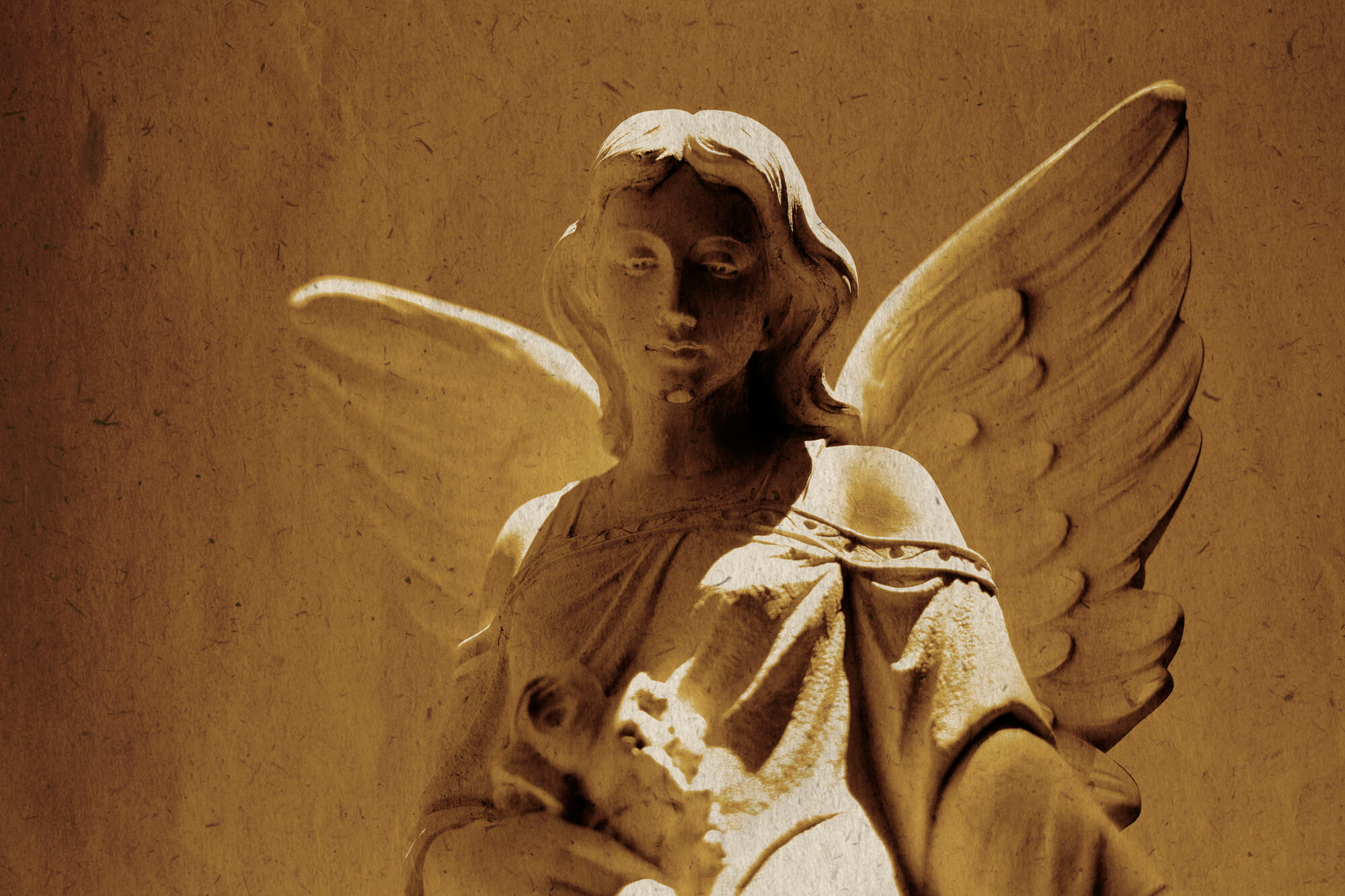 Angel Therapy – Adult Education Ireland